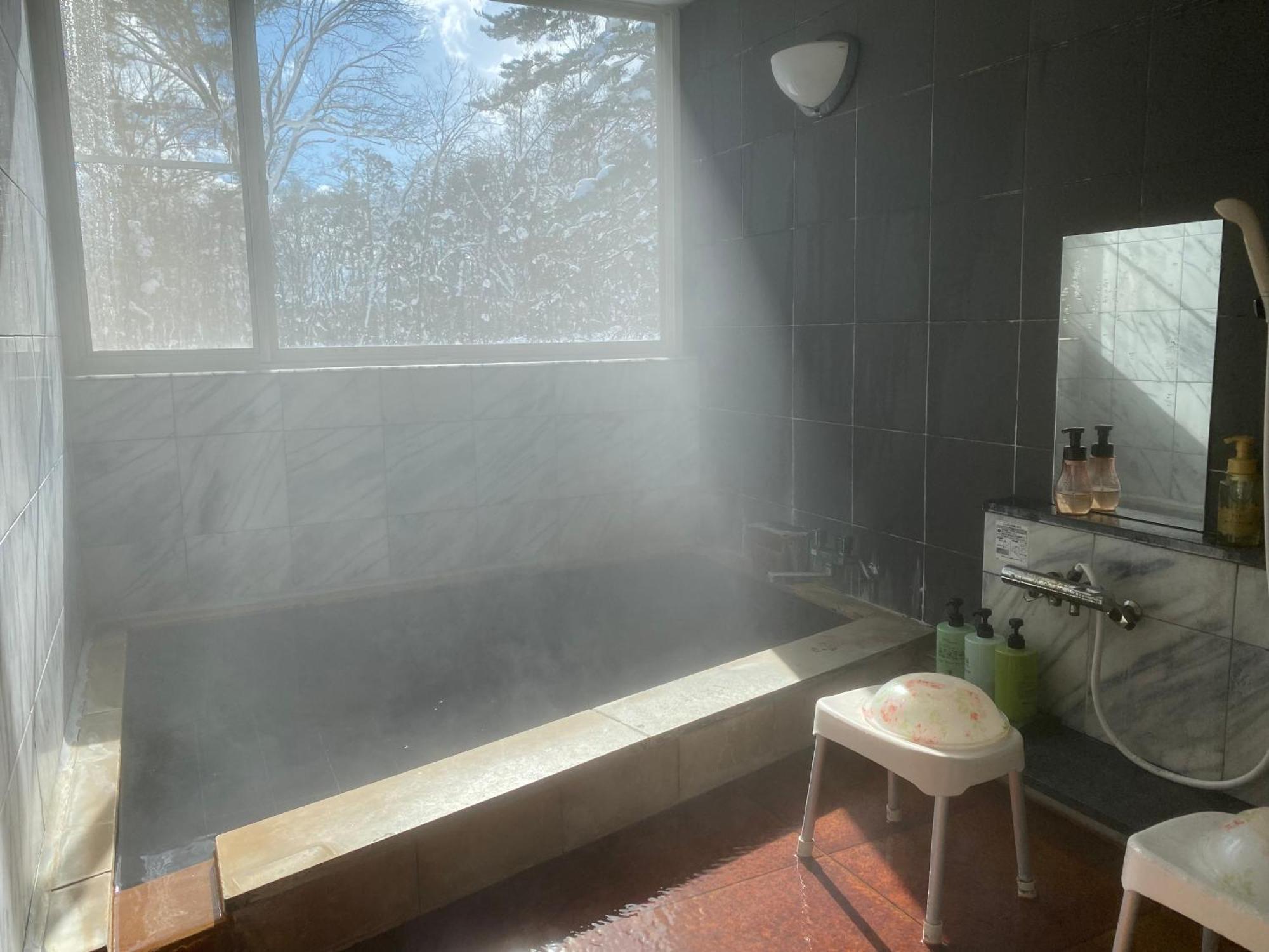 hot spring Hakuba Symphony Hotel Eksteriør billede